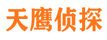 带岭市私家侦探